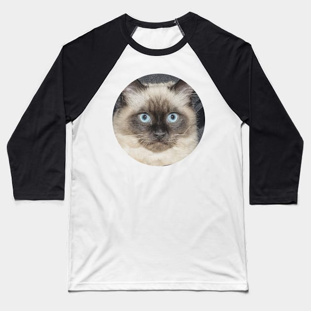 kitten kittens cat cats kittys kitty meow Baseball T-Shirt by FromBerlinGift